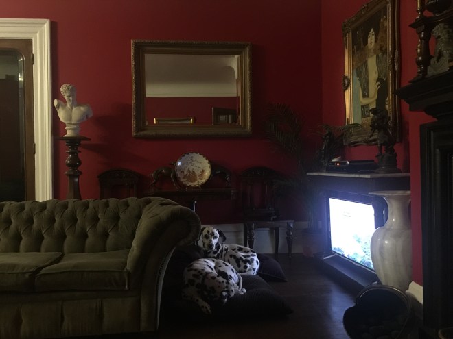 E5C3AA01-AFC4-4F95-892D-A3109D3E83C3